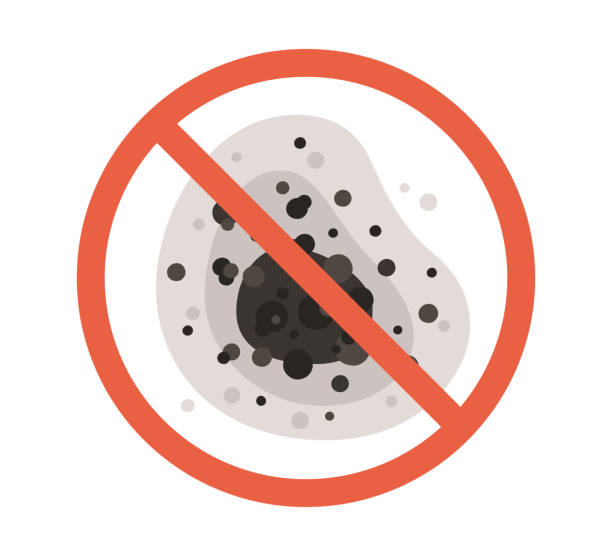 Best Environmental Consulting for Mold Prevention  in Rheems, PA